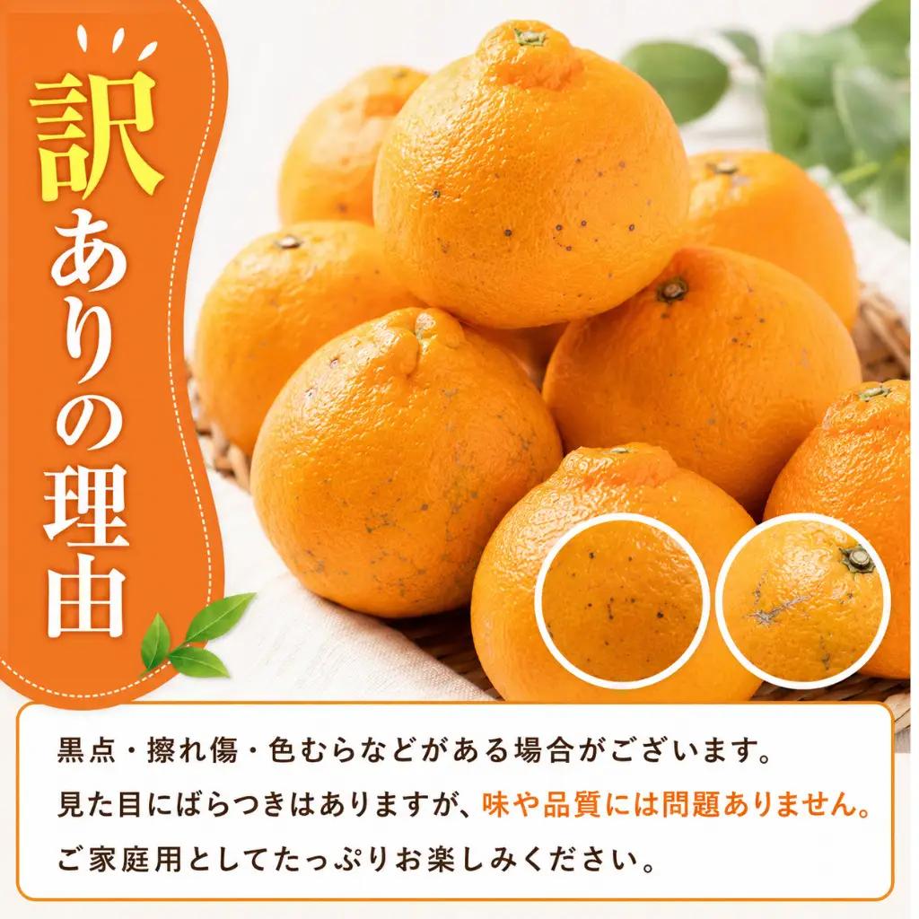 【2月上旬より順次発送】デコポン 訳あり 5.5kg 柑橘 デコポン