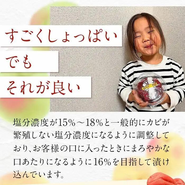 【先行予約】宮城県角田産 無添加 まごころ手作り梅干し(270g)×2個【10月上旬以降順次発送】｜梅干し すっぱい