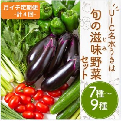 ふるさと納税 うきは市 【毎月定期便】名水うきは 旬の滋味(じみ)野菜セット　全4回