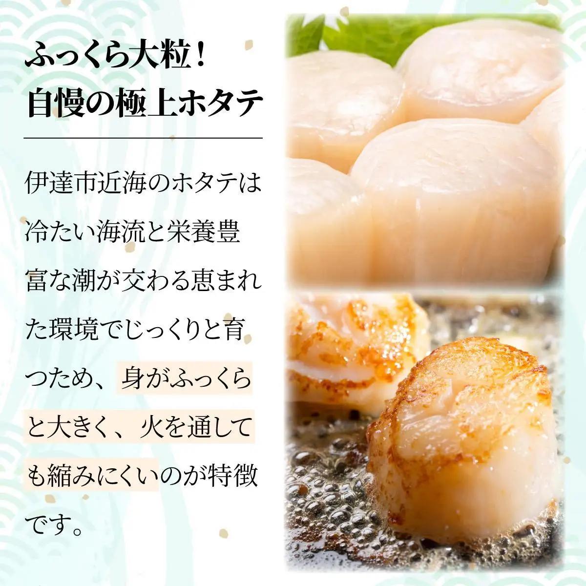 ほたての玉冷 1kg（SSサイズ～Lサイズバラエティーセット）