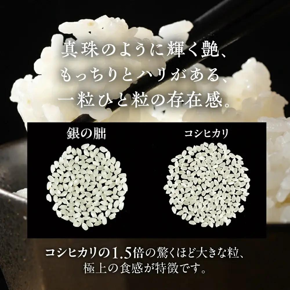 新米予約受付【定期便】【2026年11月から】3kg×6回【2026年産米】銀の朏≪テレビで紹介!!幻の米≫【13-28】