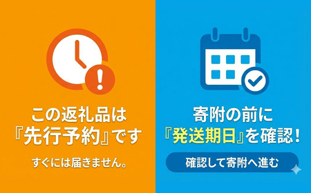 先行予約【期間限定】春の名物!! あねかえし 20個入り（2025年5月中旬～6月下旬頃発送）【87-1】