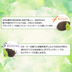 紅茶 茶葉 スリランカ フレッシュティー ティー  5大産地 セット 100g × 5袋 ギフト プレゼント フレッシュ お茶 紅茶セット 新鮮 香り 風味 紅茶専門店 イソブチカンパニー 神奈川 湘