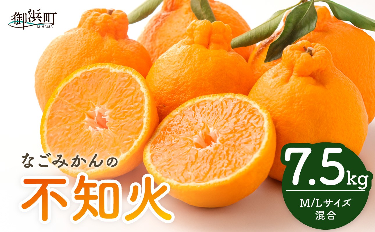 
                  【2027年発送先行予約品】なごみかんの不知火7.5キロ【数量限定 果物 フルーツ みかん 不知火 しらぬい デザート 7.5kg 三重県 御浜町】
                