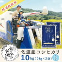 【ふるさと納税】【新米】佐渡島産コシヒカリ 無洗米10Kg(5Kg×2袋) 特別栽培米 令和6年産 ”ベストファーマー認証受賞歴” | お米 こめ 白米 食品 人気 おすすめ 送料無料