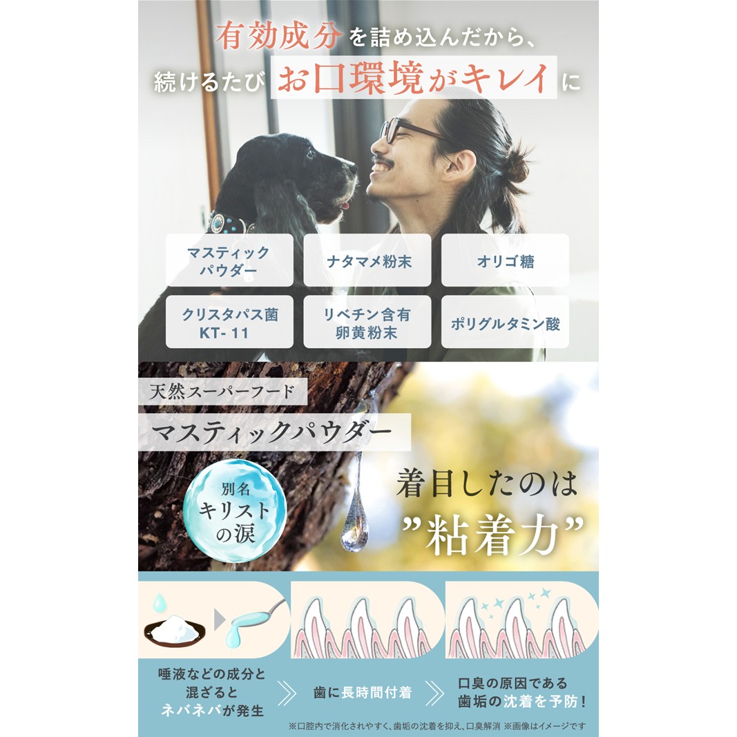 犬猫生活 犬猫兼用デンタルピューレ 国産鶏＆まぐろ味 1袋(30包入)