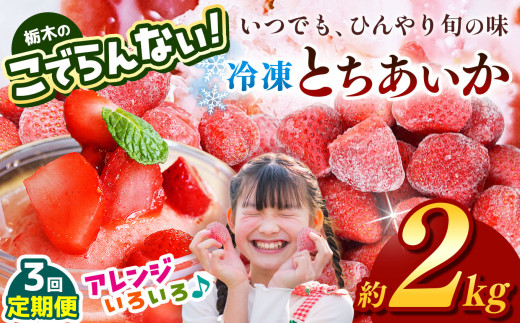 【定期便3回】冷凍 いちご（とちあいか）定期便  約2kg｜いちご イチゴ 果物 フルーツ 苺 甘い 産地直送 栃木県 真岡市