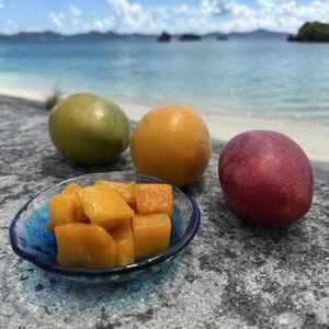 山城フルーツ園の冷凍3種マンゴー食べ比べセット(アップルマンゴー・キーツマンゴー・金蜜マンゴー)【配送不可地域：離島】【1662752】