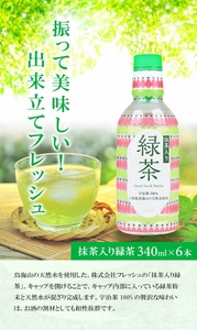 SA1854　鳥海山フレッシュさわやかセット (爽やか金龍 1800ml×1本、抹茶入り緑茶 340ml×6本)
