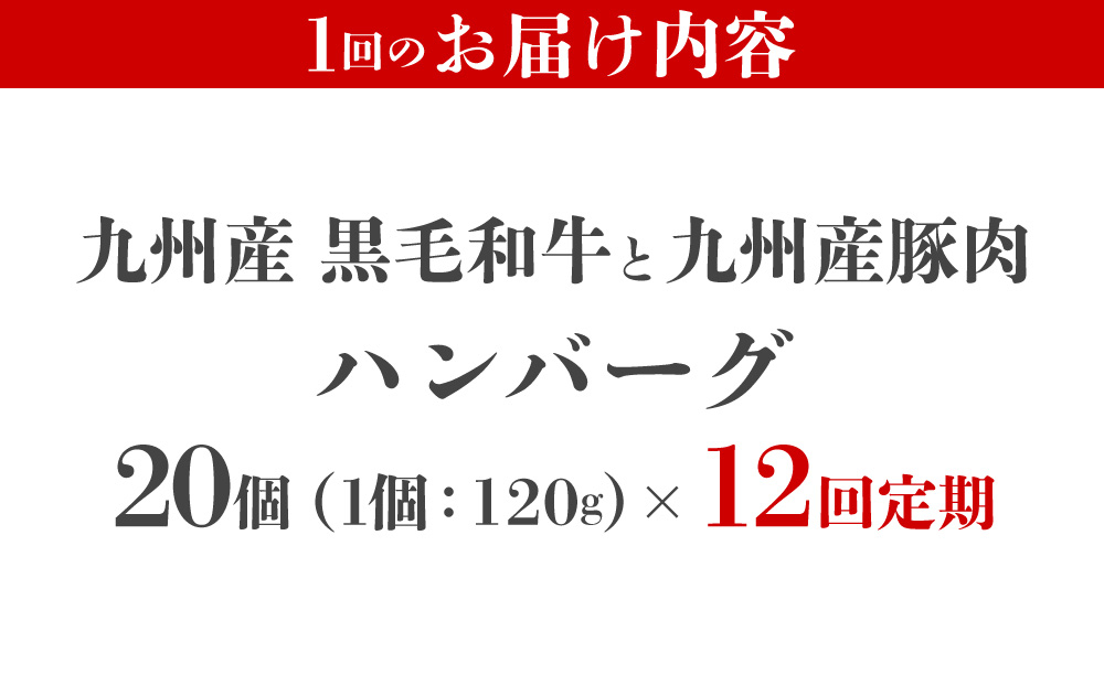 ＜定期便・全12回＞九州産黒毛和牛と九州産豚肉 ハンバーグ 20個セット | 国産牛 国産豚 肉汁 ジューシー 九州産 個包装 小分け 無添加 冷凍 惣菜 おかず 夕食 時短 簡単調理 送料無料 福岡県 那珂川市