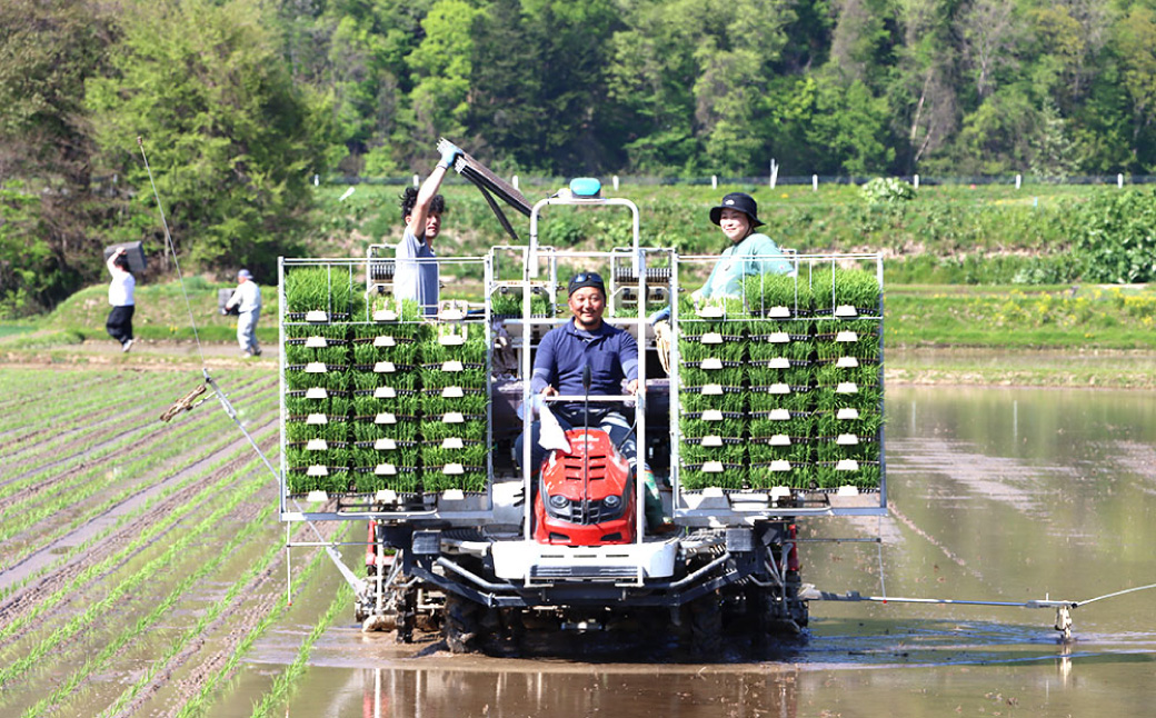 令和7年度産 ゆめぴりか 10kg 米 精米 白米 【2025年10月下旬～2026年3月下旬発送予定】 011-0026