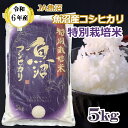 【ふるさと納税】令和6年産 特別栽培米 魚沼産コシヒカリ5kg JA魚沼 白米 魚沼 米 JA15P316