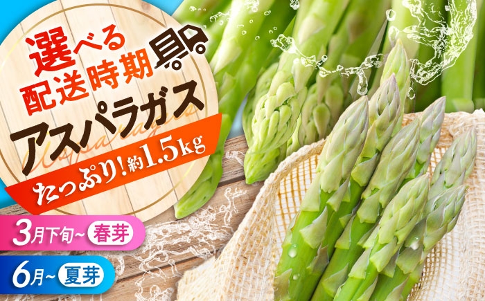
                  【スピード発送】アスパラ 朝採れ （約1.5kg） 先行予約 アスパラガス 選べる 配送時期 春芽 夏芽 とれたて 旬 野菜 春野菜 夏野菜 新鮮 朝どれ 食材 栄養 天ぷら おかず あすぱら あすぱらがす asparagus 産地直送 農家直送 広島県産 特産品 国産 広島 三次 みよし お取り寄せ 贈り物 ギフト 贈答品 絶品 銘品 三次グルメ 三次市/福分アスパラ [APAU003]
                