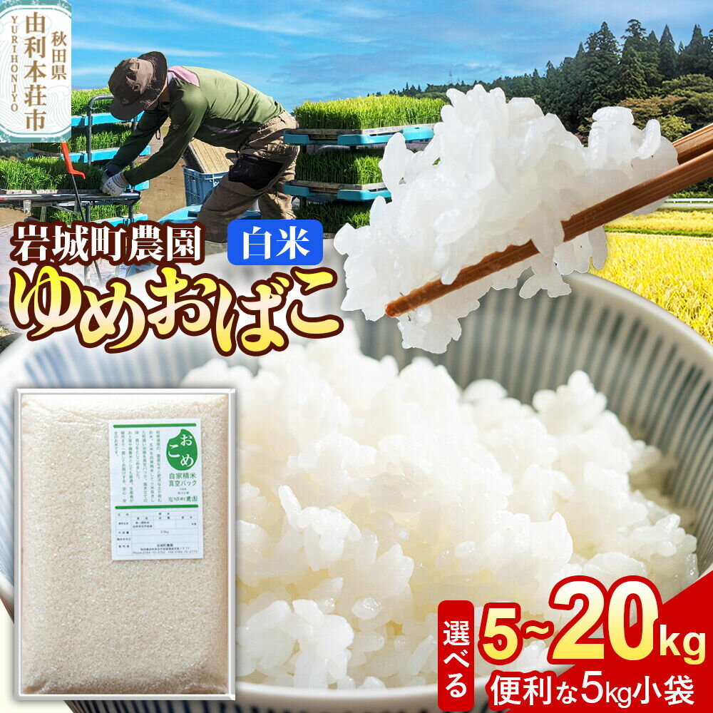 【ふるさと納税】【白米】ゆめおばこ 秋田県産 岩城町農園のゆめおばこ 令和7年産【選べる容量：5kg（5kg×1袋）／10kg（5kg×2袋）／15kg（5kg×3袋）／20kg（5kg×4袋）】ゆめおばこ 真空パック 岩城町農園 [ゆめおばこ 米]