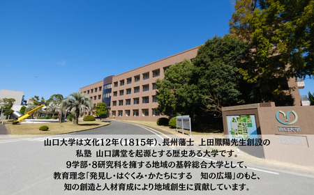 山口大学工学部への人材育成支援補助金 寄附額 50,000円 | 山口県 宇部市 山口大学 工学部 人材育成 支援 EL04-FN