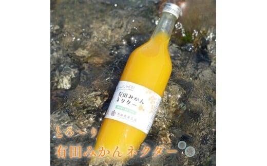 とろり　みかんネクター720ml×2本【無添加100%ストレートジュース】【有田みかんジュース】【ikd097B】