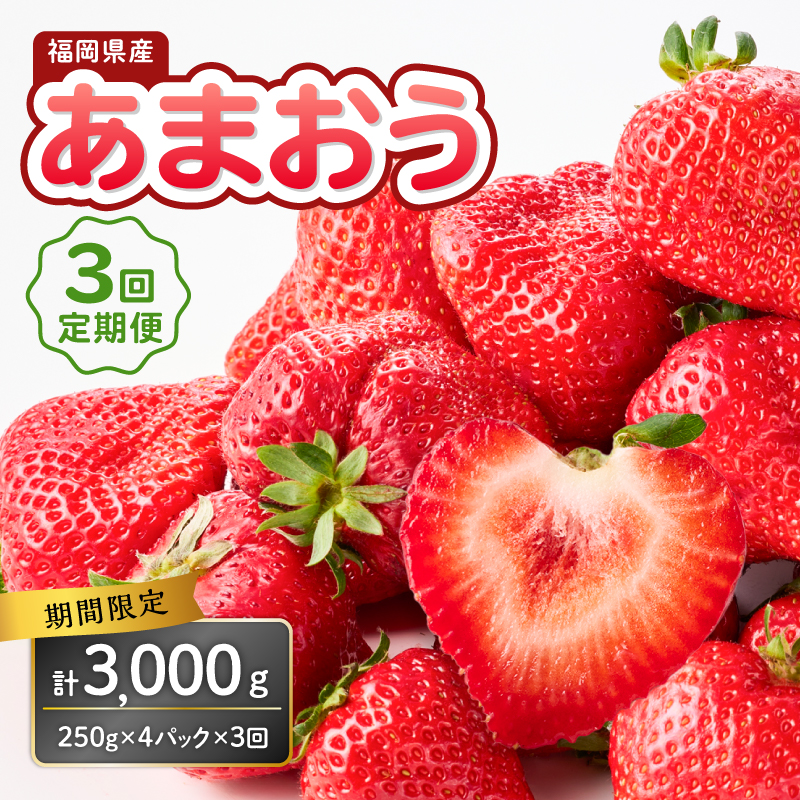 福岡県産あまおう 250g×4パック【3回定期便】 ＜配送不可：離島＞ いちご 苺 イチゴ フルーツ あかい まるい おおきい うまい 人気 果物 福岡県産 八女市