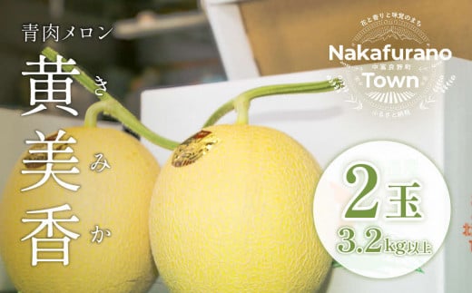 【2026年発送】中富良野産　黄美香（青肉）メロン2玉　3.2kg以上