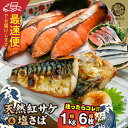 【ふるさと納税】【限定】《2週間以内発送》 天然 紅サケ 1kg & 塩さば 6枚 セット 切身 フィレ 選りすぐり 鮭 鯖 魚 海の幸 海鮮 魚介 食品 食べ物 おかず 料理 水産加工品 お取り寄せ 魚鶴商店 冷凍 和歌山県 湯浅町 送料無料