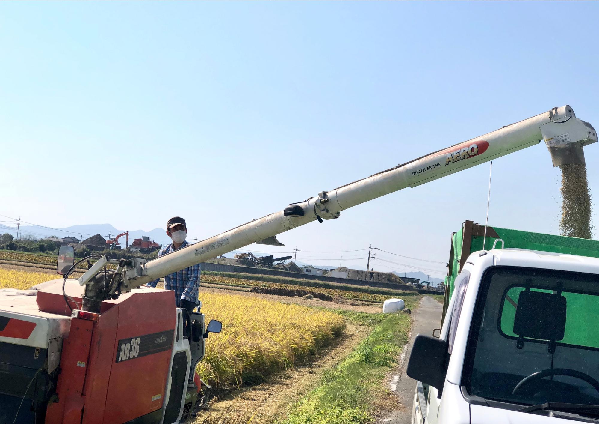 農法にもこだわって丁寧に栽培しています