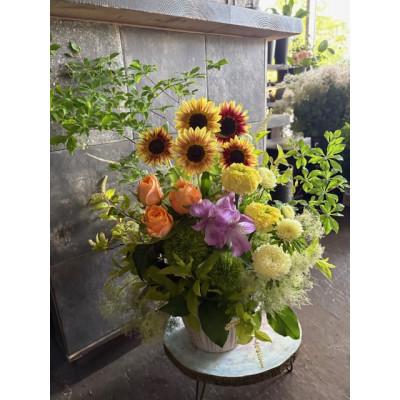 ふるさと納税 大津市 お祝いの花贈り |  | 01