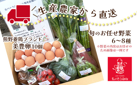 【定期便／3ヶ月お届け】 たべとうみんの旬菜ボックス｜ 野菜詰め合わせ 美豊卵