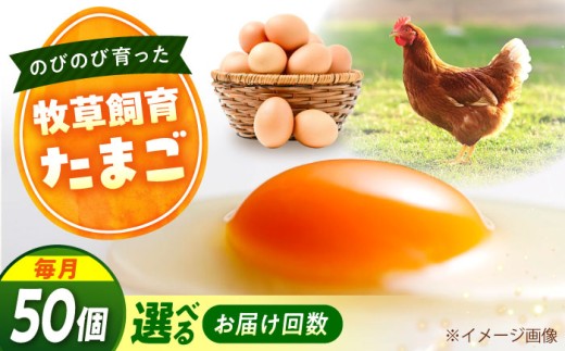 天心山 たまご 50個 【回数が選べる定期便】【全3回定期便】卵 たまご 高級 食品 たまごかけご飯 卵かけご飯 卵焼き 生卵 濃厚 ケーキ お菓子 づくり ランキング 上位 人気 おすすめ 定期便  ふるさと納税 20個 TKG 産地直送 新鮮 鶏卵 平飼い 広島 福山 アグリヒーロー 朝食 産直 送料無料 広島 福山 広島県福山市/天心山ファーム [BABW034]