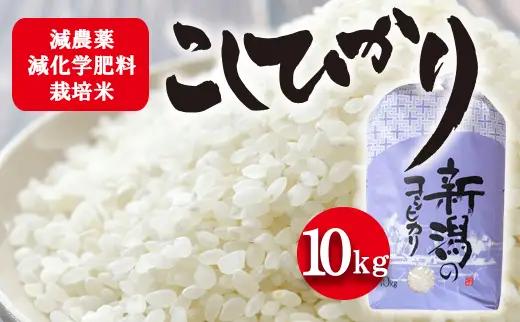 令和7年度産 栽培期間中減農薬・減化学肥料栽培米 こしひかり10kg お米 白米 ライス 精米 ご飯 新潟県産 新潟市産 おにぎり お弁当 和食 ブランド米 