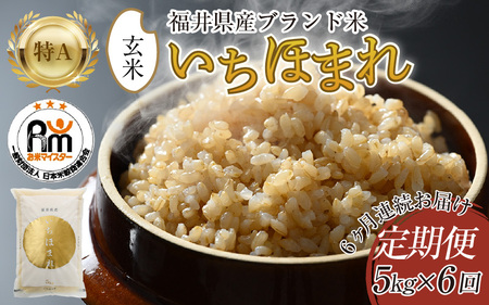 【令和7年産】定期便6回 いちほまれ 玄米 5kg×6回（計30kg）《新鮮な高品質米をお届け！》／ 福井県産 ブランド米 ご飯 [aw064-h004]