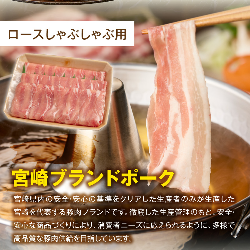 宮崎県産 豚肉 4種盛り合わせ N0217-YA6614_イメージ4