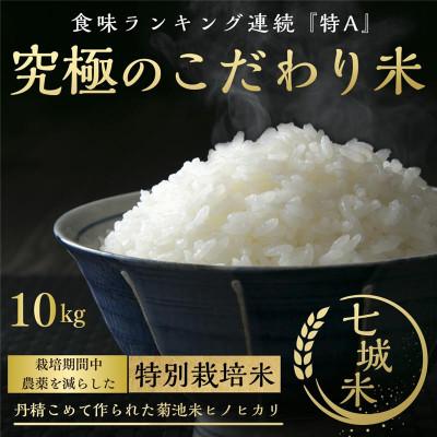 ふるさと納税 菊池市 熊本県菊池産こだわり七城米 10kg(5kg×2袋)(菊池市)