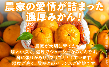 期間限定 みかん フルーツ 果物 くだもの 4kg 柑橘 甘い 濃厚 ジューシー 産地直送 デザート おやつ オレンジ 福岡県 福岡 九州 グルメ お取り寄せ 【12月上旬頃から順次発送】