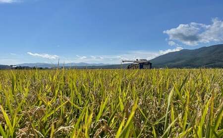 【令和7年産】 北海道 蘭越産 ななつぼし 10kg お米 米 コメ ごはん ご飯 飯 白ご飯 白米 常温 国産 北海道産 北海道 蘭越町