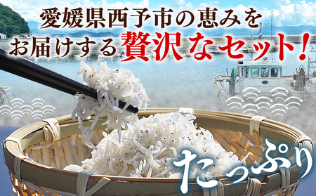 ＜ちりめん＆しらす干し お試し食べ比べセット 合計410g 3回定期便＞ 定期便 西予市産 ちりめんじゃこ ふりかけ 詰め合わせ 詰合せ チリメン シラス 家庭用 小分け 濱田水産 愛媛県 西予市【冷