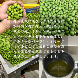 オリーブオイル 100ml ×1本 エキストラバージン オリーブオイル 国産 静岡 長泉 