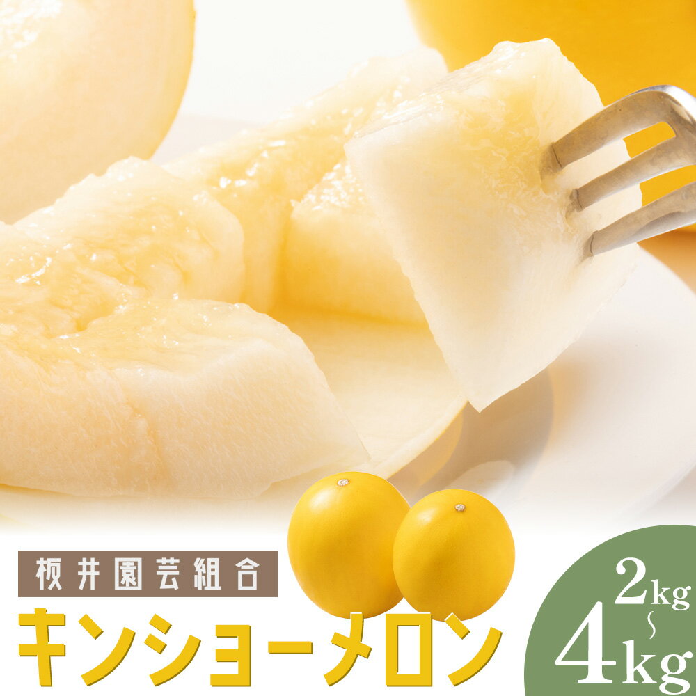 【ふるさと納税】【先行予約】キンショーメロン 2kg(3〜6玉) 4kg(6〜9玉) 選べる内容量 メロン《2026年4月上旬-7月上旬頃出荷》熊本県 菊池市 果物 フルーツ 金鐘 ノーネットメロン 黄色いメロン 菊池市産 熊本県産 九州産 送料無料