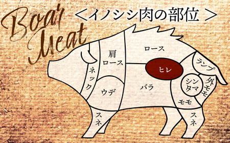 能登 穴水産 天然猪肉 ヒレ ブロック 約200g | いのしし 肉 天然