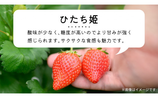 【 先行予約 】 【 定期コース 】 厳選 いちご 4パック 【 毎月 第2木曜に全3回発送 初回発送 2027年1月14日 】 (常陸太田市 共通返礼品 ) 約260g×4パック いばらキッス ひた