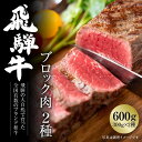 【ふるさと納税】飛騨牛 ブロック肉[塊]2種 600g（霜降り/赤身 300g×2種） 冷凍真空パック | 肉 お肉 ローストビーフ 煮込み 焼肉 焼き肉 やきにく BBQ 黒毛和牛 和牛 食べ比べ 人気 おすすめ 牛肉 ギフト お取り寄せ 7日以内お届け【飛騨高山ミート MZ023】