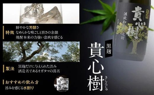 FS-407 オガタマ酒造 本格焼酎飲み比べ 10本セット (900ml×5本､720ml×5本) グラス付き