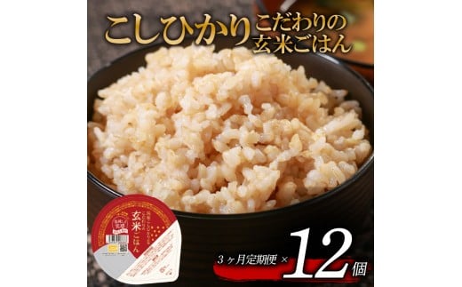 定期便 3回 こしひかり 玄米ごはんパック 120g 12個 玄米 米 お米 ごはん ご飯 こめ パックライス パックご飯 パックごはん ご飯パック ごはんパック パック ライス 備蓄 保存 非常 防