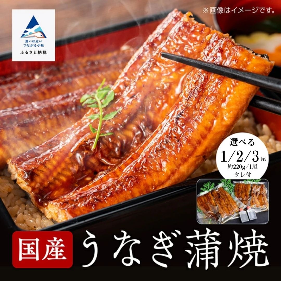【ふるさと納税】 国産 うなぎ 蒲焼 選べる 1尾 / 2尾 / 3尾 鰻 かば焼き タレつき 関西風 日本産 小松市 石川県【竹本商店】 018040