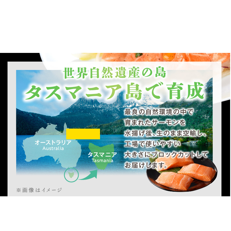 タスマニアサーモン ポーション 650g 【アトランティクサーモン 真空パック 小分け ブロック 訳あり サイズ不揃い 上質 刺身 海鮮丼 サラダ 冷凍 物価高応援】 010B1501_イメージ3