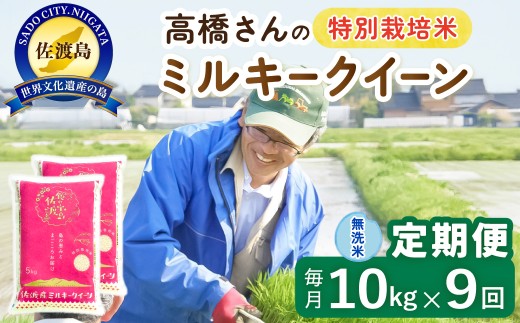 【9か月定期便 ミルキークイーン】佐渡島産ミルキークイーン 無洗米 合計90kg（10kg（5kg×2袋）×全9回）令和8年産 新米 特別栽培米 | 新潟県産ミルキークイーン 新潟産ミルキークイーン 佐渡産ミルキークイーン みるきーくいーん お米 米 無洗米 むせんまい 精米 おこめ コメ 10キロ にいがた さど 新潟県 佐渡市