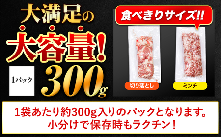 【6ヶ月定期便】 豚肉 うまかポーク 切り落とし&ミンチ ハーフセット 5.4kg 《申し込み翌月から発送》 