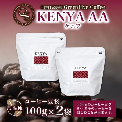 ふるさと納税 帯広市 コーヒー豆 ケニア 100g×2袋 鮮度を高めたスペシャルティコーヒー 北海道帯広市 |  | 03