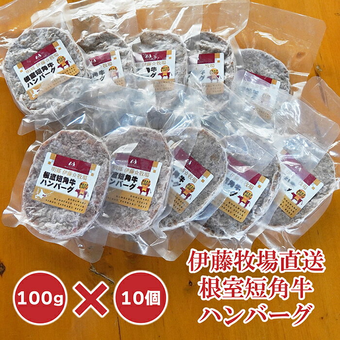 【ふるさと納税】 [北海道根室産] 短角牛ハンバーグ 100g × 10P 短角牛 牛 牛肉 ビーフ ミンチ ハンバーグ お取り寄せ グルメ おかず 北海道 根室市 ふるさと納税 A-13024