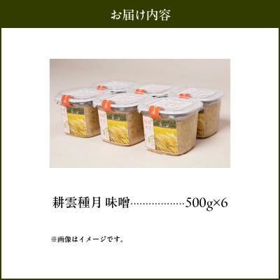 ふるさと納税 南九州市 ヤマガミ「耕雲種月」味噌6個セット |  | 03
