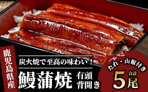 
鹿児島産鰻蒲焼5尾(奈良/036-1312) うなぎ 国産 鹿児島 蒲焼 丑の日 丑 土用丑の日
