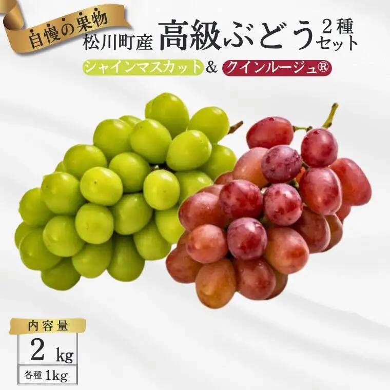ぶどう２種セット（シャインマスカット／クイーンルージュ®）約2kg／2026年9月下旬頃～10月頃 配送予定[TK17]//長野県 南信州 種なし 皮ごと 詰め合わせ 食べ比べ 新鮮 クインルージュ シャイン マスカット 葡萄